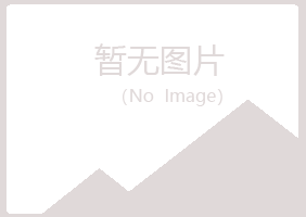 鹤岗南山福兮媒体有限公司